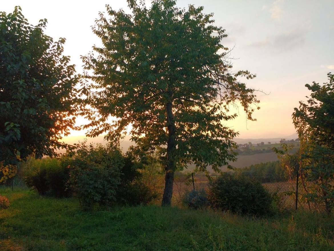 I Balzani B&B Matelica Exteriér fotografie